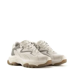 ASH SNEAKERS Donna Autunno/Inverno | Soreca Shop Online Napoli