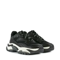 ASH SNEAKERS Donna Autunno/Inverno | Soreca Shop Online Napoli