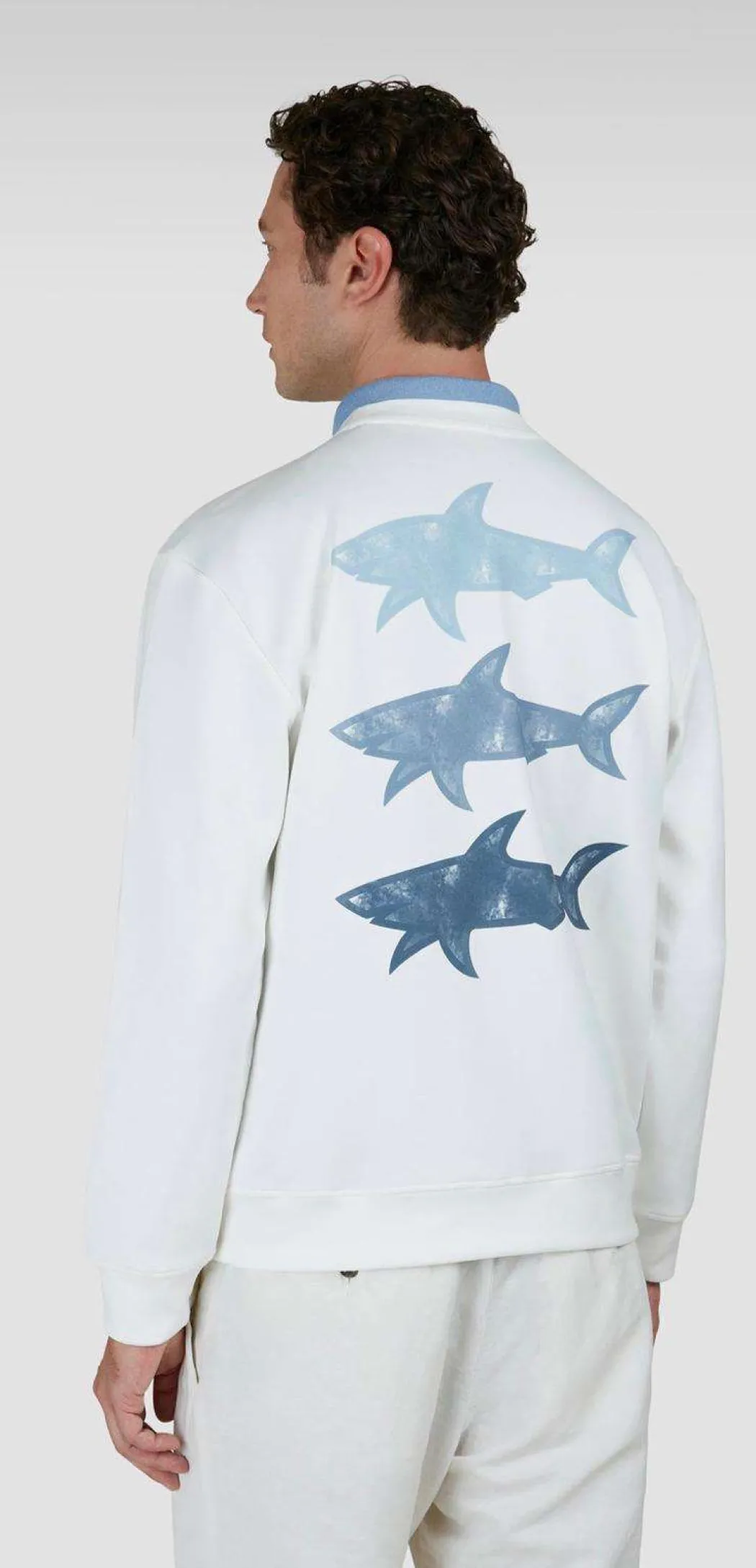 PAUL AND SHARK FELPA - 25411855